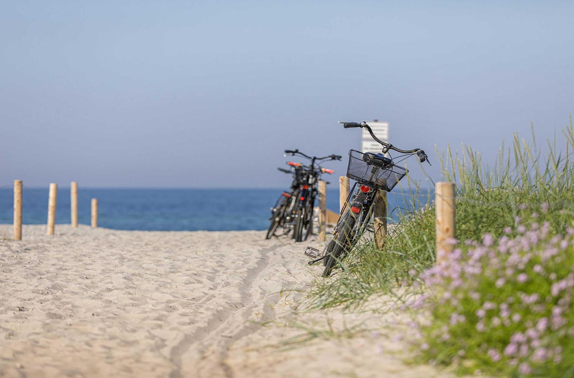 Seeschwalbe In Der Alten Seefahrtschule Wustrow  Exteriör bild