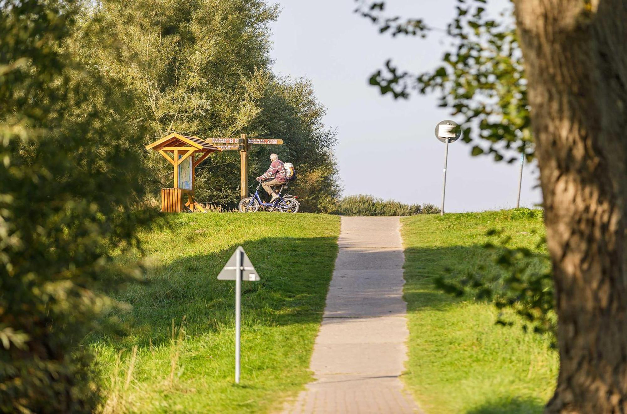 Seeschwalbe In Der Alten Seefahrtschule Wustrow  Exteriör bild